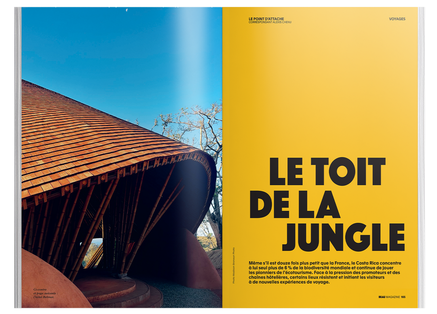 PRÉCOMMANDE : BEAU Magazine #15  — Regarder differement